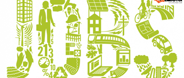 وظائف في أكبر الشركات في مصر 