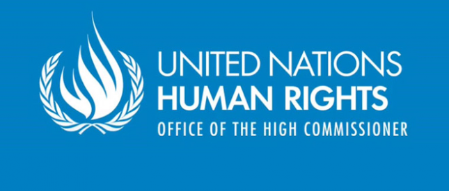 United Nation Jobs In Egypt